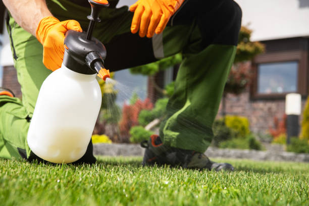 Best Ant Control Services  in Camden, AL