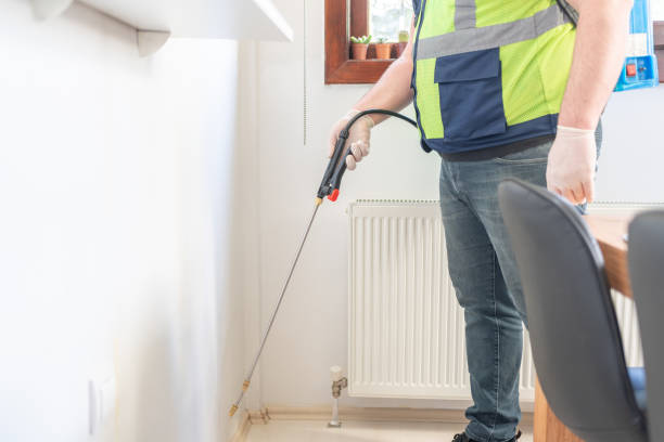 Best Local Pest Control Services  in Camden, AL