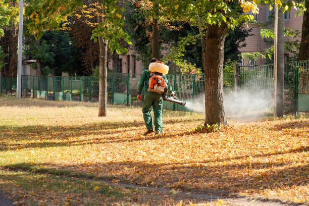 Best Exterminator Services  in Camden, AL
