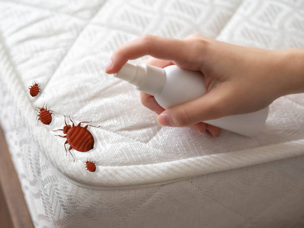 Best Residential Pest Control  in Camden, AL