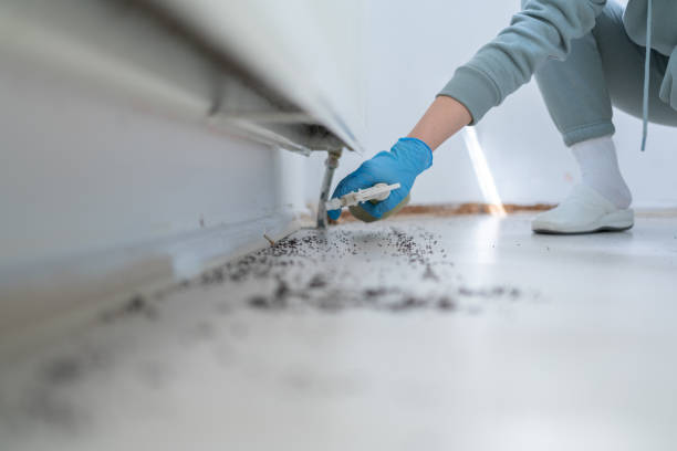 Best Mosquito Control Services  in Camden, AL